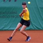 33 Wjtf Hra28 33 Wjtf Hra28