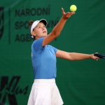 33 Wjtf Hra79 33 Wjtf Hra79