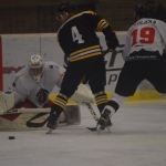 42 Hokej08