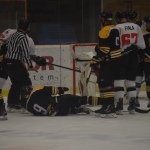 42 Hokej191306