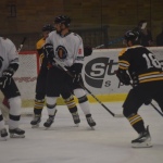 42 Hokej191308