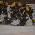42 Hokej191313