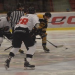 42 Hokej191318