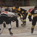 42 Hokej191319
