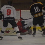 42 Hokej191321