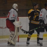 42 Hokej191322