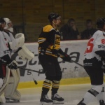 42 Hokej191323