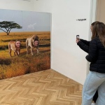 14 Milovani01 14 Milovani01