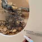 14 Milovani06 14 Milovani06