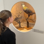 14 Milovani07 14 Milovani07