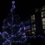 49 Urcice Stromecek 11