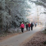 01 Kosir16 01 Kosir16