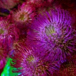 12 Expozice 03 12 Expozice 03