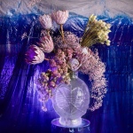 12 Expozice 05 12 Expozice 05