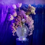 12 Expozice 06 12 Expozice 06