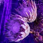 12 Expozice 07 12 Expozice 07