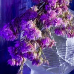 12 Expozice 08 12 Expozice 08