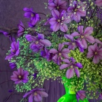 12 Expozice 12 12 Expozice 12