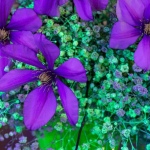 12 Expozice 14 12 Expozice 14