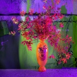 12 Expozice 15 12 Expozice 15