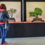 12 Hasici 07 12 Hasici 07