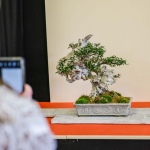 12 Hasici 08 12 Hasici 08