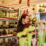 12 Hasici 12 12 Hasici 12