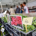 12 Hasici 13 12 Hasici 13