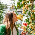 12 Hasici 15 12 Hasici 15