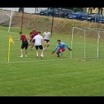 28 Metle107 28 Metle107