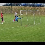 28 Metle110 28 Metle110