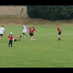 28 Metle113 28 Metle113