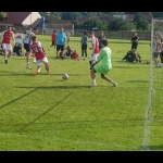 28 Metle31 28 Metle31