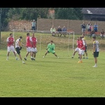 28 Metle47 28 Metle47