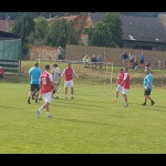 28 Metle49 28 Metle49