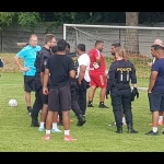 28 Metle52 28 Metle52