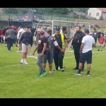 28 Metle55 28 Metle55