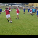 28 Metle66 28 Metle66