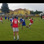 28 Metle68 28 Metle68