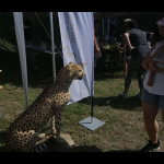 Img 20260725 160644