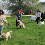 Img 20260927 103103