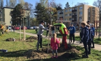 Lidé sázeli stromky na sídlišti E. Beneše 