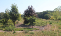 Krásné arboretum Osina po pěti letech vzkvétá